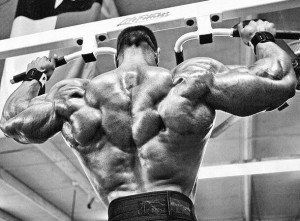 Программа для наращивания массы грудных и спинных мышц